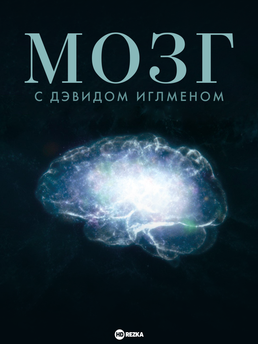 Лучшие фильмы для саморазвития | Марина Вольф коуч | Коучинг Взрослости